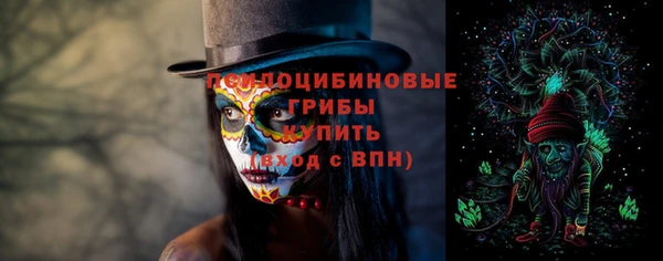 твердый Нягань