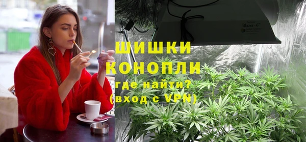 ГАЛЛЮЦИНОГЕННЫЕ ГРИБЫ Нязепетровск