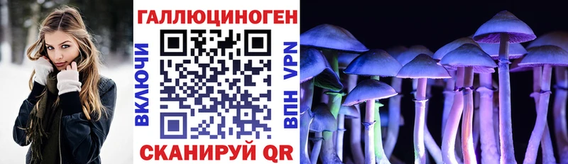 Псилоцибиновые грибы MAGIC MUSHROOMS  Пущино 